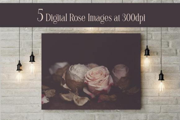 Evaluating Digital Floral Photographic Images for Creative Projects